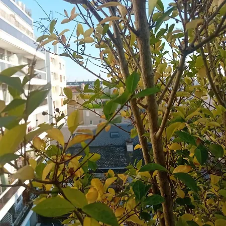 Apartment Terrasse Daumesnil *